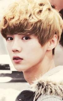 明星鹿晗图片,光影交错中的青春偶像风采