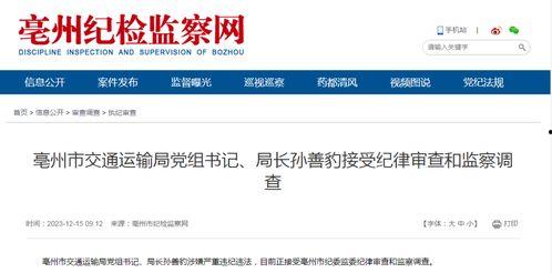 怎么查图片的网红,轻松查图，打造个性化视觉盛宴